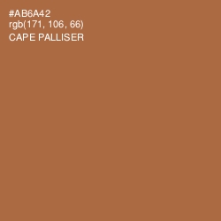 #AB6A42 - Cape Palliser Color Image